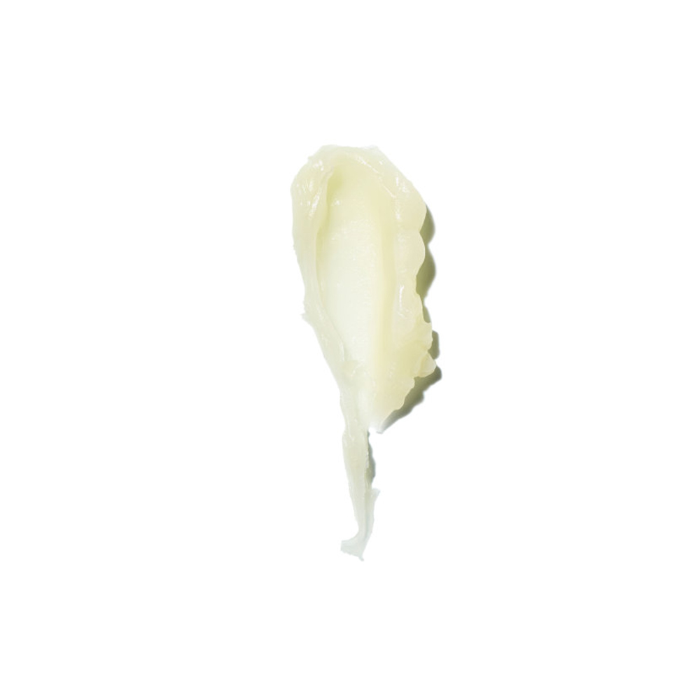 Mint Kiss - Vanilla + Mint Lip Balm